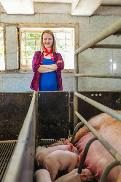 istock Female farmer in pig farm 1187331728