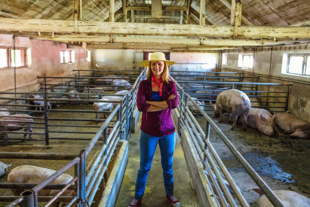istock Female farmer in pig farm 1187331821
