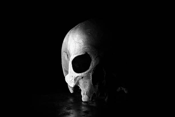istock Old human skull close up on black background 1187332653