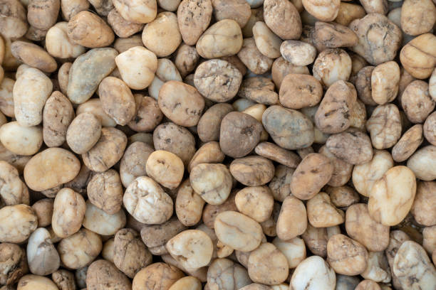 istock Pebbles stones floor texture for background, garden decoration with pebbles stones 1187334035