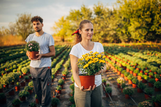 istock Man and woman working in garden 1187334130