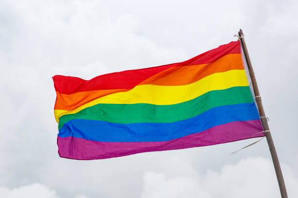 istock Gay flag waving with pride with a cloudy background. 1187337524