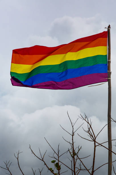 istock Gay flag waving with pride with a cloudy background. 1187337526