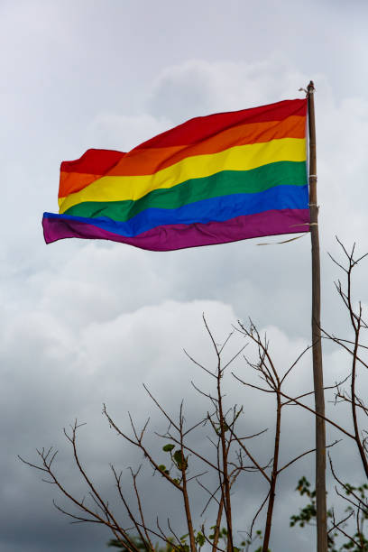 istock Gay flag waving with pride with a cloudy background. 1187337527