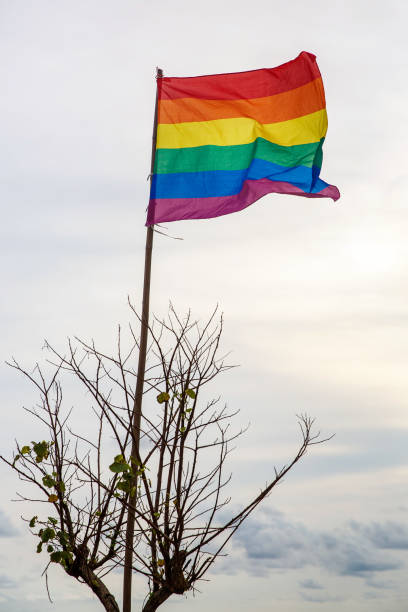 istock Gay flag waving with pride with a cloudy background. 1187337537