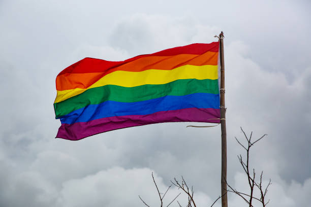 istock Corolfull rainbow flag (LGBT movement) on cloudy graya sky background 1187337538