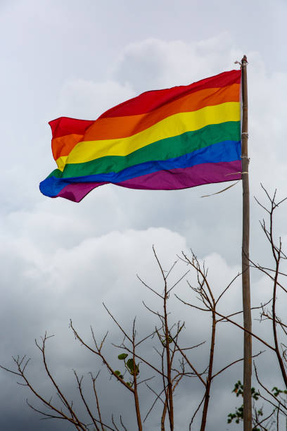 istock Corolfull rainbow flag (LGBT movement) on cloudy graya sky background 1187337543
