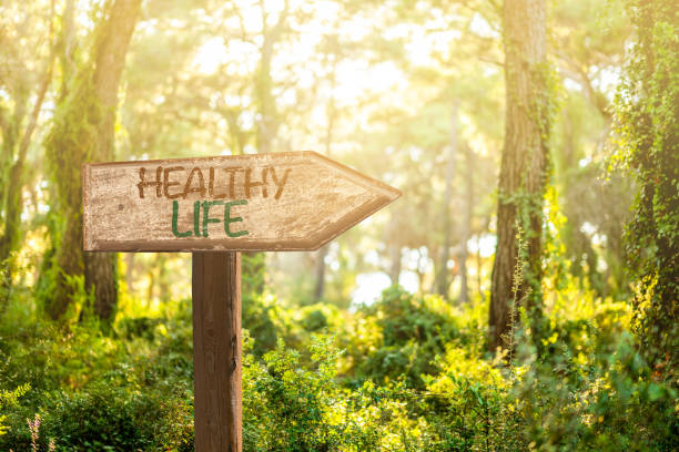 istock Making our decisions for a healthy life with help of direction 1187338533