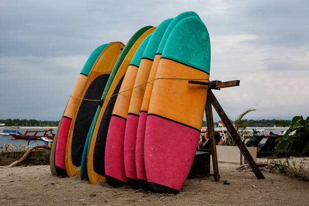 istock Many multi-colored surfboards in a row for rent. 1187340086