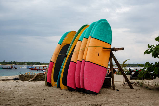 istock Many multi-colored surfboards in a row for rent. 1187340098