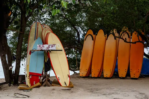 Photo of Many multi-colored surfboards in a row for rent.