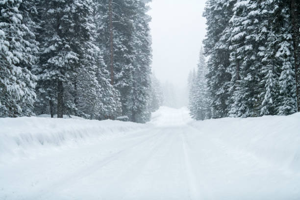 istock Snowy road with icy conditions. 1187340176
