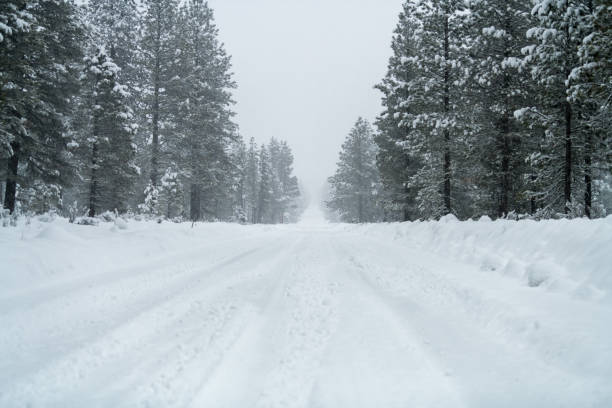 istock Snowy road with icy conditions. 1187340211