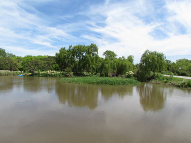 istock Partial view of one of the Silver River access channels, 1187340310