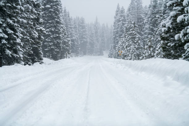 istock Snowy road with icy conditions. 1187340350