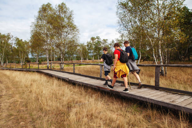 père et deux fils sur un voyage de randonnée en allemagne marchant sur un sentier en bois dans la réserve naturelle de lande de luneburger en été. - 12 15 months photos et images de collection