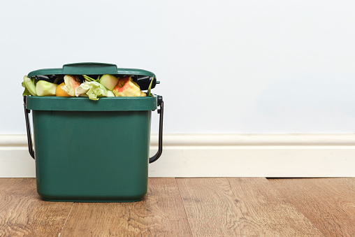 Food waste from domestic kitchen Responsible disposal of household food wastage in an environmentally friendly way by recycling in compost bin at home