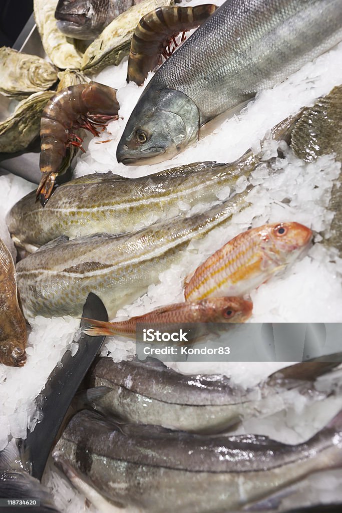 Varietà di pesce e frutti di mare nel mercato sul ghiaccio visualizzazione - Foto stock royalty-free di Alimentazione sana