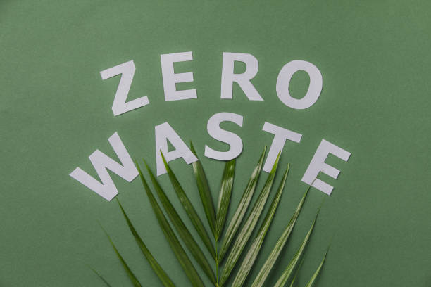 istock Zero waste concept. Green palm leaf and paper letters on green background 1187346405