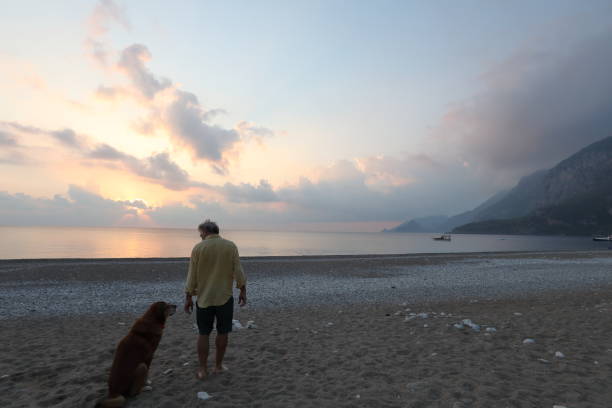 istock Man walks down beach with dog at sunrise 1187346506