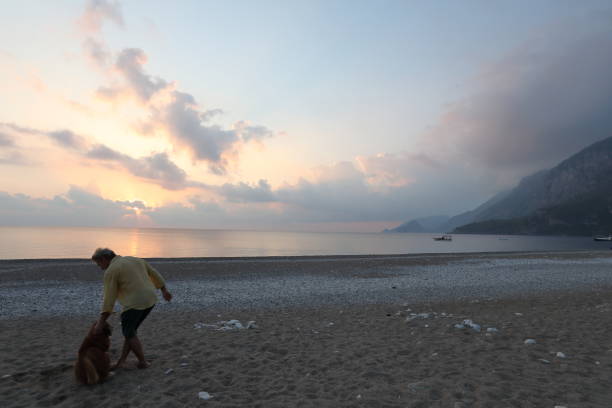 istock Man walks down beach with dog at sunrise 1187346633