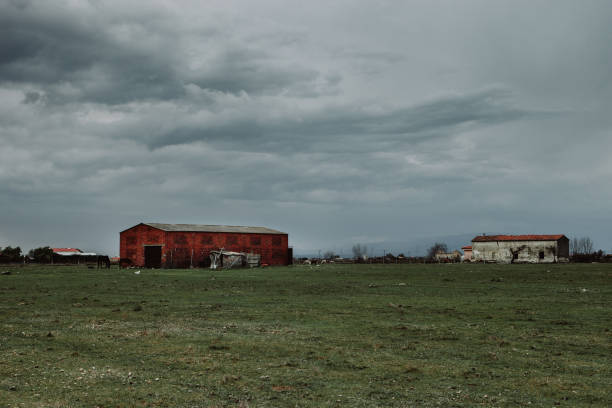 istock Landscape with a tobacco dryer under cloudy sky 1187348468