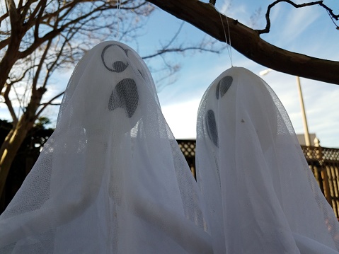 white cloth ghost decorations hanging from tree branch