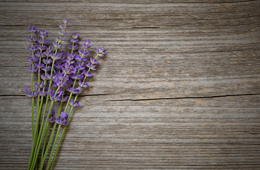 A tuft of lavender lies on a weathered wooden board