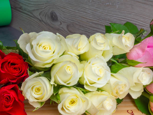 istock Roses in different colors for background use, festive 1187350662