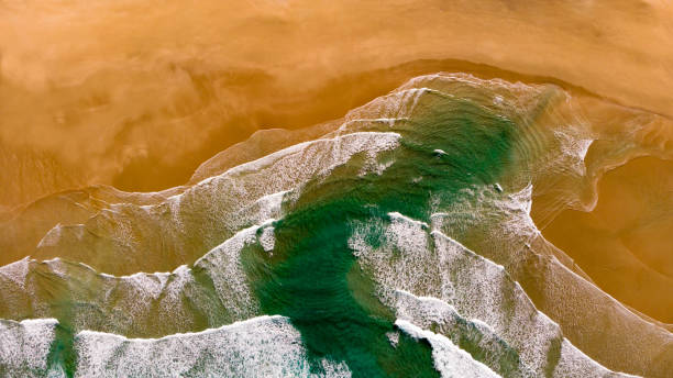 istock Beautiful aerial view of a beach with waves 1187351029