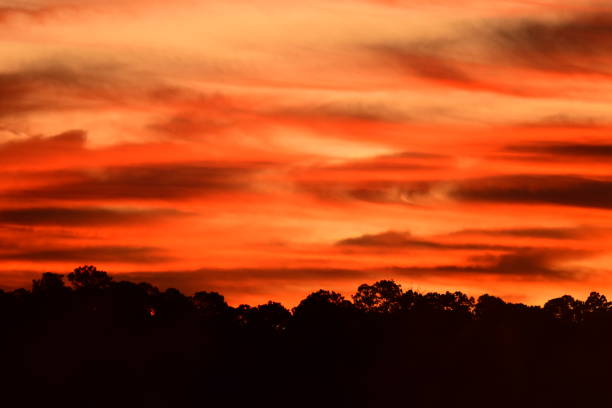 istock Bright, fiery colors in cloudy sky over forest at dawn 1187351720