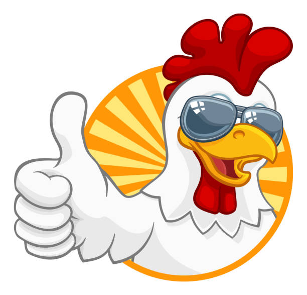 Chicken Rooster Cockerel Bird Sunglasses Cartoon A chicken rooster cockerel bird cartoon character in cool shades or sunglasses giving a thumbs up chicken thumbs up design stock illustrations