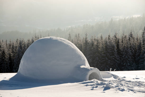 istock Real snow igloo house in the winter Carpathian mountains 1187356805