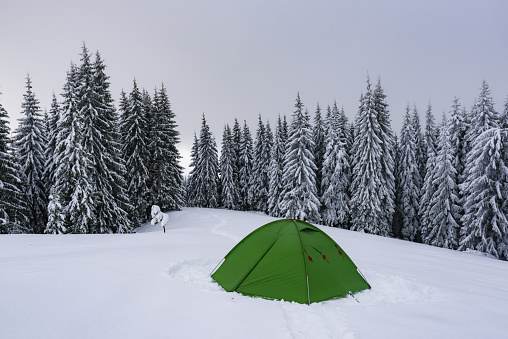 Green tent against the backdrop of foggy pine tree forest. Amazing snowy landscape. Tourists camp in winter mountains. Travel concept