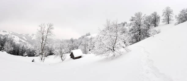 istock Fantastic landscape with snowy house 1187357356