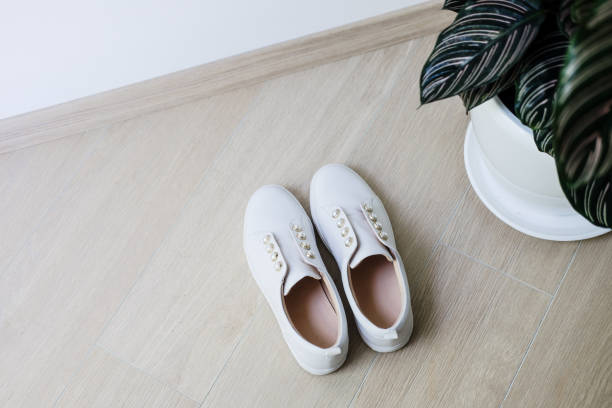 istock White sneackers shoes and green plant minimal 1187361579