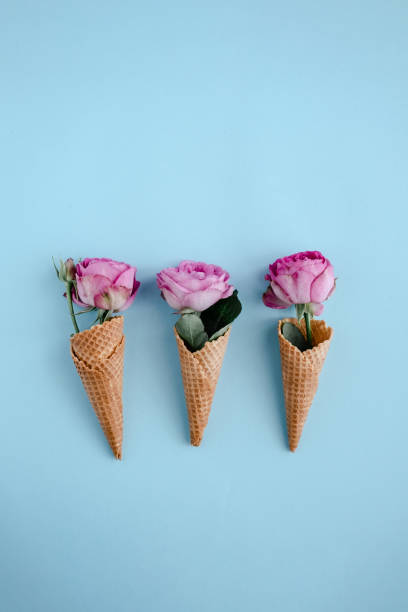 istock Pink roses in ice-cream cones on blue 1187362414