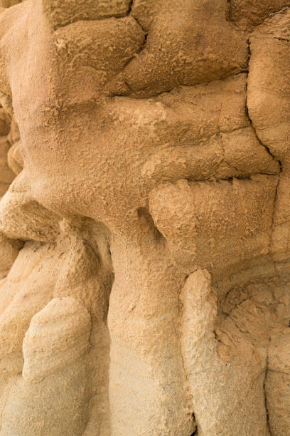 istock Sandstone formations in diffused soft light on cloudy winter morning just after sunrise 1187362672