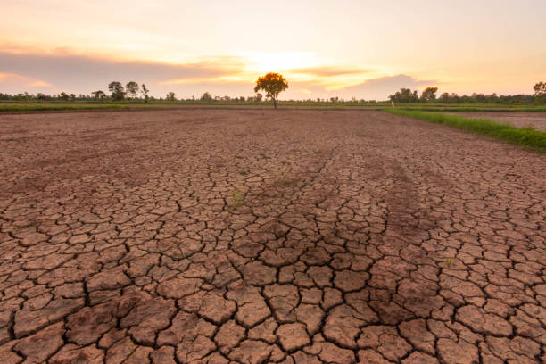 istock Global warming causes the land to be parched due to drought in Southeast Asia. 1187366991