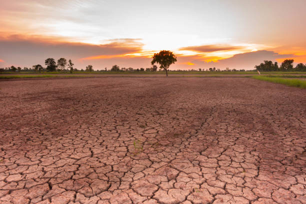 istock Global warming causes the land to be parched due to drought in Southeast Asia. 1187366994