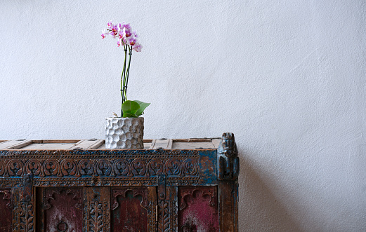 A pink orchid in a nice pot on a rustic vintage cabinet in front of a white plastered wall in a country house