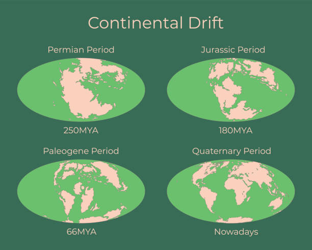 illustrazioni stock, clip art, cartoni animati e icone di tendenza di deriva continentale e cambiamenti della mappa terrestre. illustrazione vettoriale colorata di worldmap nei periodi permiano, giurassico, paleogeno e quartogeno isolato sullo sfondo. - continents globe continent tectonic