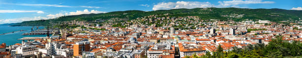 istock Panorama of Trieste city in Italy 1187371435