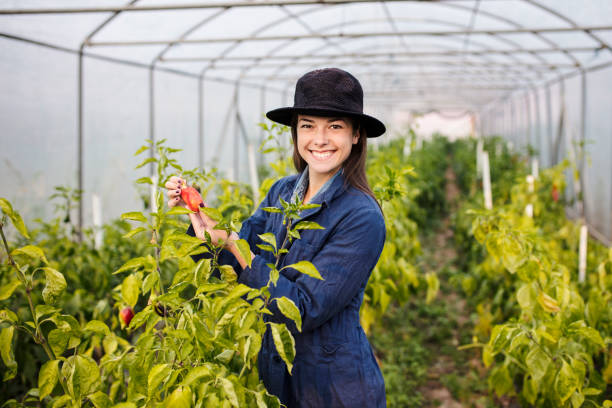 istock female farmer in pepper greenhouse 1187384790