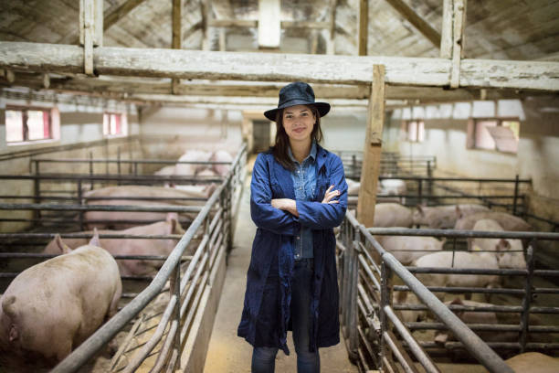 istock Female farmer in pig farm 1187388118