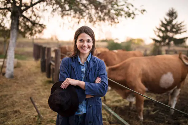 Photo of Daily job at cattle ranch