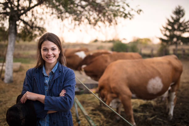 istock Daily job at cattle ranch 1187388225