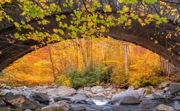 istock Smoky Mountains and fall colors 1187391198