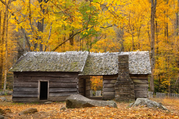 istock Smoky Mountains and fall colors 1187391309