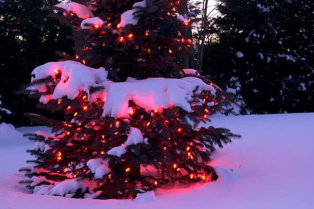 istock Christmas tree with red lights outside 118739339